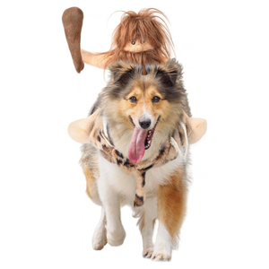 A collie dog wearing a playful costume with a brown wig on its head, a plush tail, and a leopard-print harness, running against a solid white background.