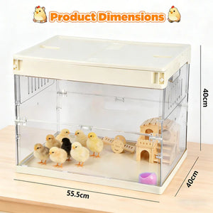 Clear chick brooder with chicks and a wooden house, showing dimensions on a white background at Pet Servo