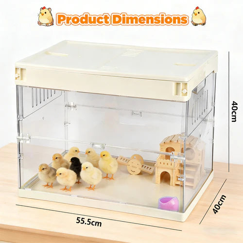 Clear chick brooder with chicks and a wooden house, showing dimensions on a white background at Pet Servo