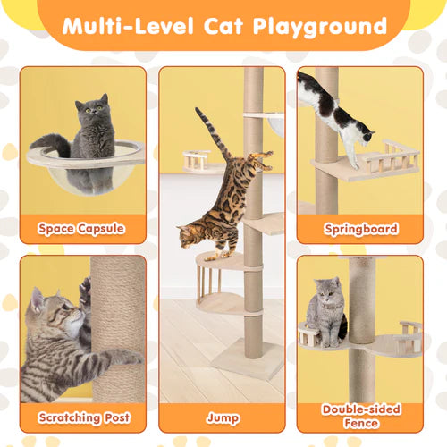Cat playground with various features labeled on a yellow background at Pet Servo