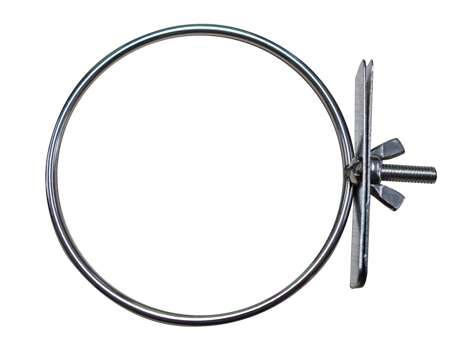 Metal hose clamp on a white background at Pet Servo