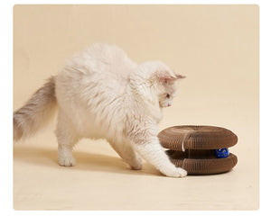 Cat playing with a cardboard cat toy on a beige background at Pet Servo