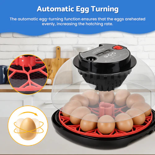 Egg incubator with automatic egg-turning feature on a kitchen counter at Pet Servo