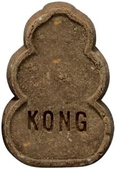 A small, irregularly shaped brown clay token or amulet with the word 'KONG' embossed in the center, shown against a plain white background at Pet Servo