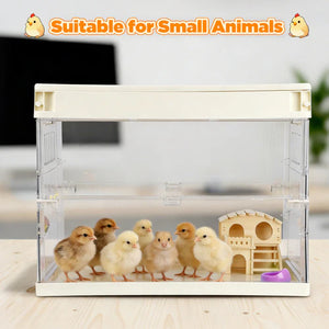 Small animal cage with chicks and a toy house on a wooden surface at Pet Servo