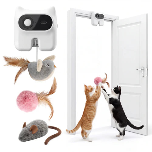 Cat toy with feather and mouse shapes attached to a door, with two cats playing with it at Pet Servo