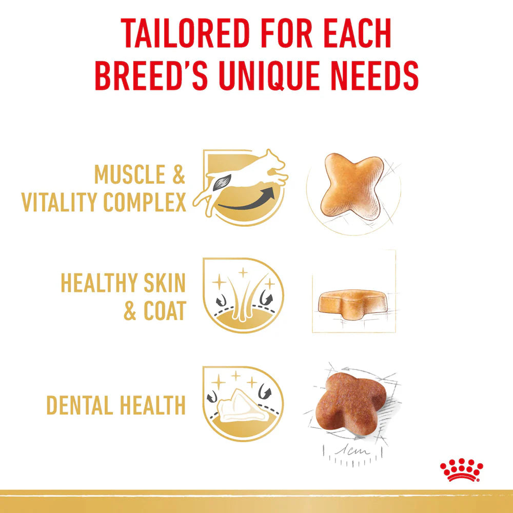 Royal Canin - Dog Jack Russell Terrier Adult Dry Food - Petservo