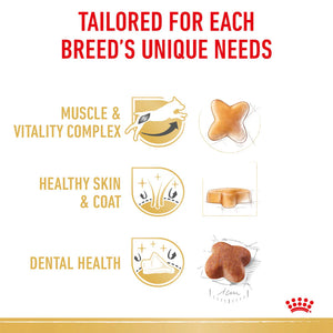 Royal Canin - Dog Jack Russell Terrier Adult Dry Food - Petservo