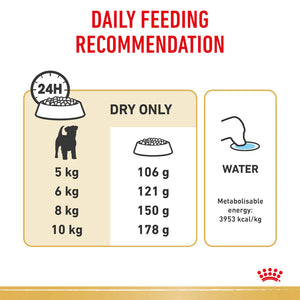 Royal Canin - Dog Jack Russell Terrier Adult Dry Food - Petservo