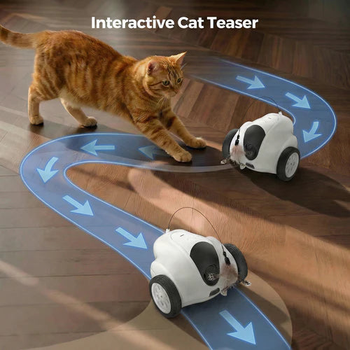 Cat playing with an interactive cat teaser toy on a wooden floor at Pet Servo