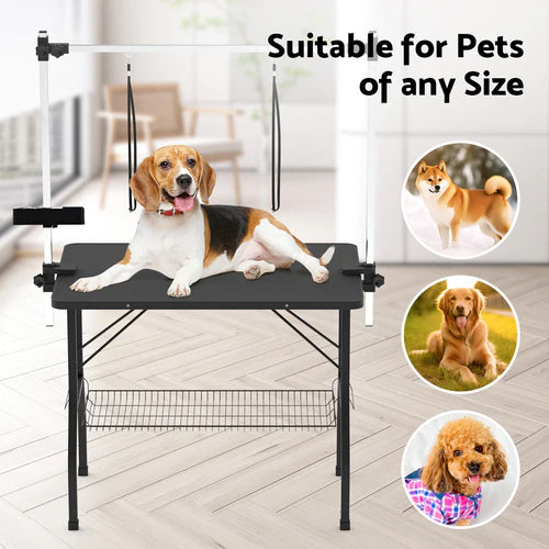 Dog grooming table with a dog on it, suitable for pets of any size, in a home setting at Pet Servo