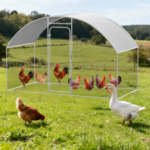 Chicken coop with chickens and a goose in a grassy field