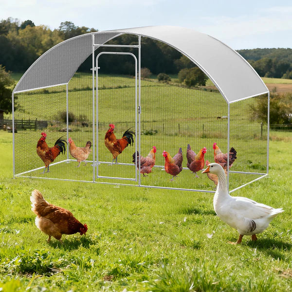 Chicken coop with chickens and a goose in a grassy field