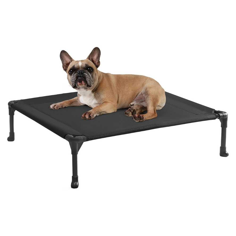 A tan French Bulldog lies on a black elevated pet cot with black legs, photographed against a plain white studio background.
