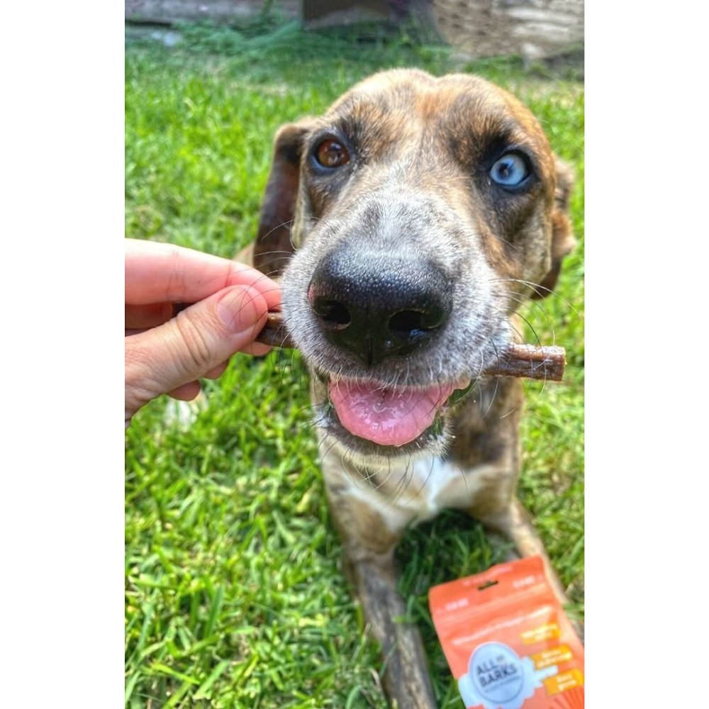 A close-up lifestyle shot of a dog with blue eyes eating a chew from a person's hand, with an orange bag of All Bark dog treats on the grass in the foreground.