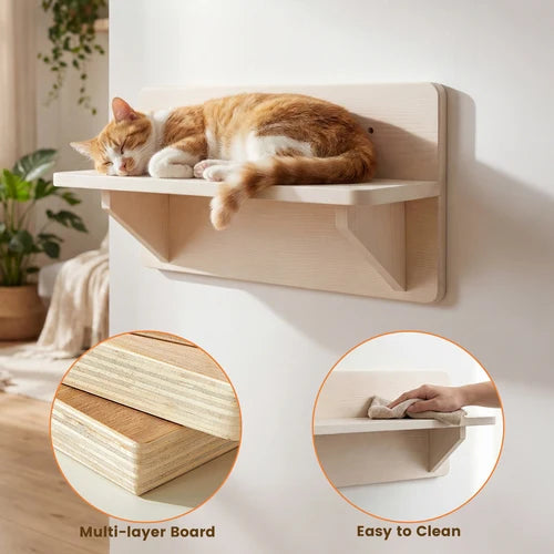A ginger and white cat rests on a light natural wood wall-mounted shelf in a bright room. Two circular inset callouts show the shelf's multi-layer wood construction and a hand wiping the surface to demonstrate easy cleaning at Pet Servo