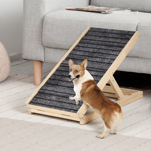 Dog standing on a wooden ramp in a living room setting at Pet Servo