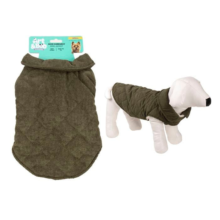 Green dog sweater on a white background with a small dog model wearing it.