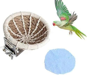 Bird perch with a bird and a blue pad on a white background at Pet Servo