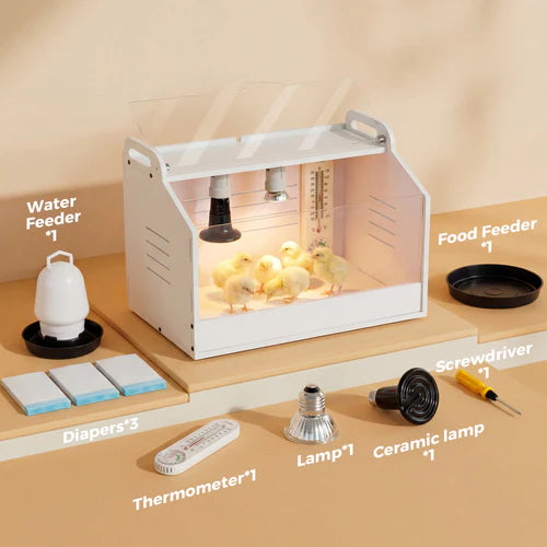 Incubator with chicks, labeled components on a beige surface at Pet Servo