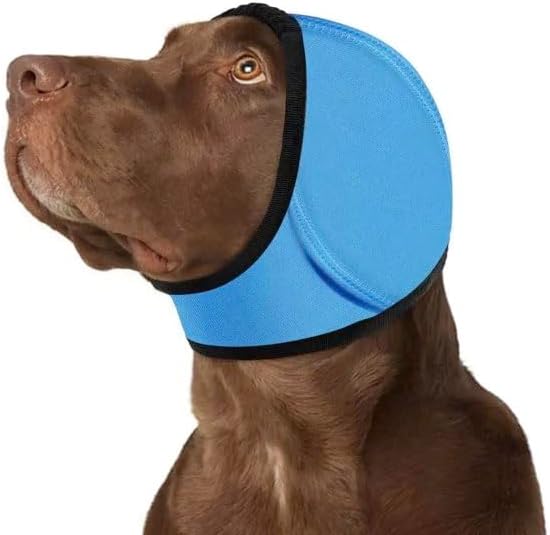 Dog wearing a blue cone-shaped e-collar on a white background at Pet Servo