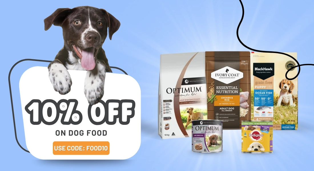 Dog with a sign offering 10% off on dog food, surrounded by various dog food packages on a blue background at Pet Servo