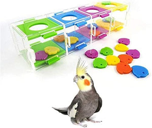 Colorful bird puzzle toy with a parrot on a white background at Pet Servo