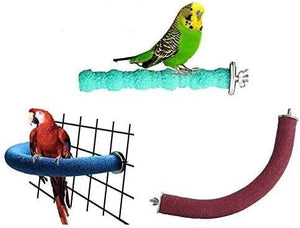 Two parrots on bird perches against a white background at Pet Servo