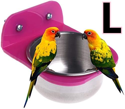 Two colorful parrots perched on a pink and silver bird perch with the letter 'L' in the corner at Pet Servo