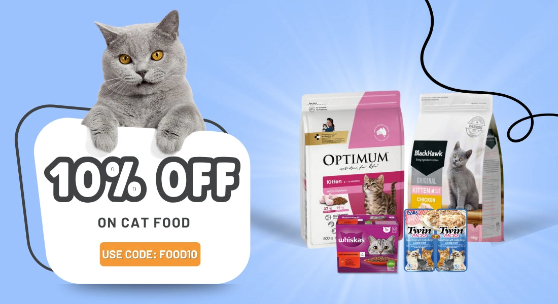 Cat sitting on a cat food bag with various cat food packages displayed on a blue background at Pet Servo