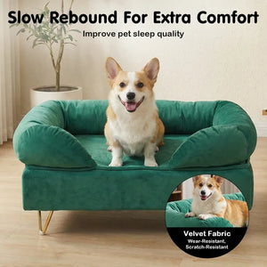 Dog sitting on a green pet sofa with text about slow rebound for comfort and velvet fabric details at Pet Servo