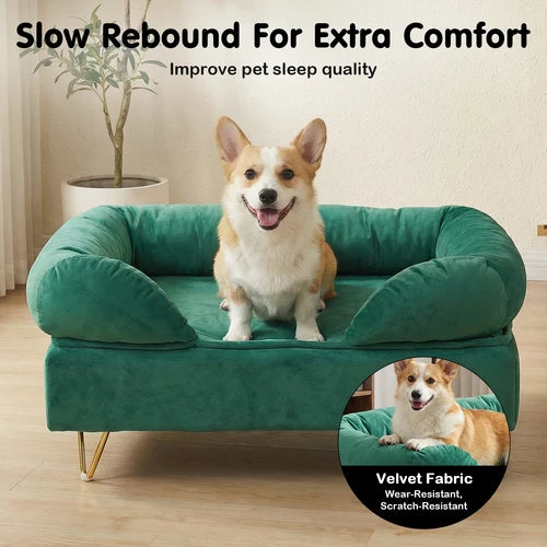 Dog sitting on a green pet sofa with text about slow rebound for comfort and velvet fabric details at Pet Servo