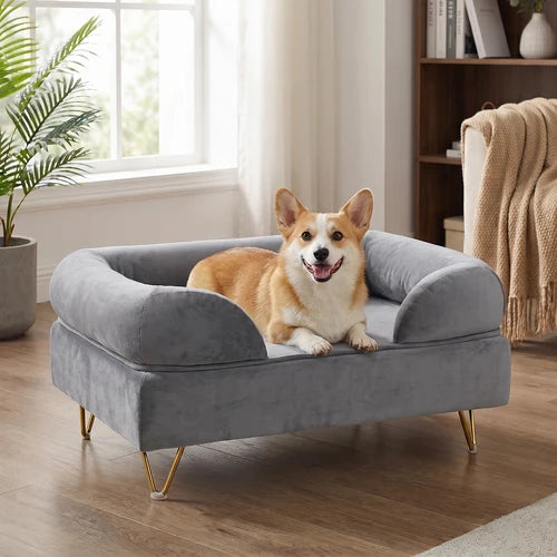 A tan and white Corgi lies on a plush gray velvet pet sofa bed with gold metal legs in a bright living room at Pet Servo