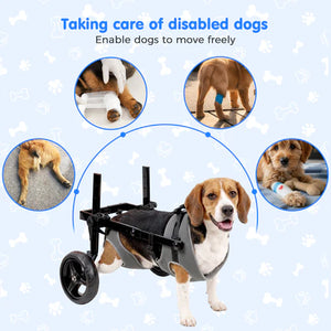 Dog in a wheelchair with text about caring for disabled dogs on a light blue background at Pet Servo