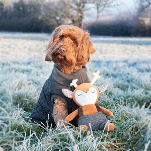 Dog in a coat holding a stuffed toy in a frosty field