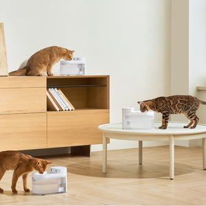 CATLINK - Pure 3 AI Water Fountain – Wireless - Petservo