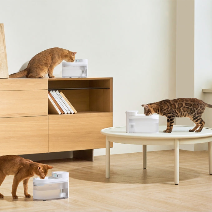 CATLINK - Pure 3 AI Water Fountain – Wireless - Petservo
