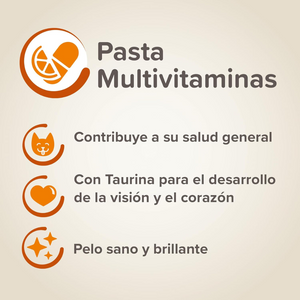 Beaphar - Multi Vitamin Paste for Cat 100g - Petservo-3