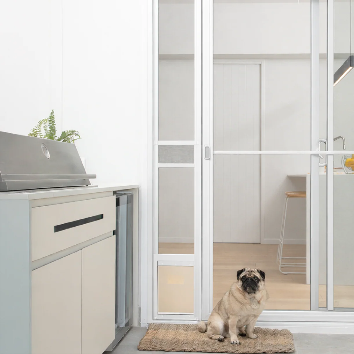 Pug sitting on a mat in front of a glass door with a view into a kitchen.