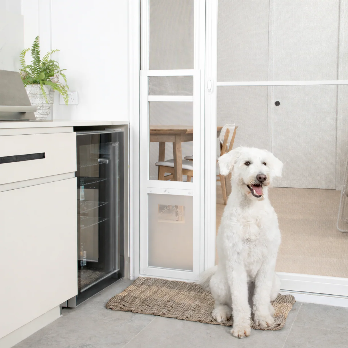 White dog sitting on a mat in front of a glass door in a modern kitchen.