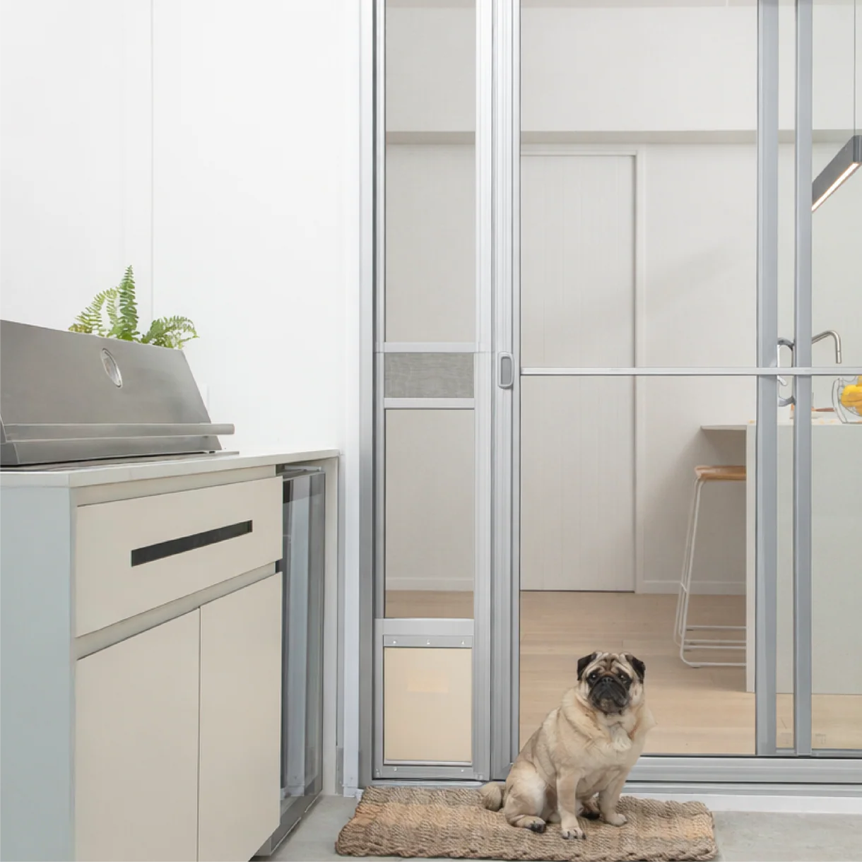 Pug dog sitting on a mat in front of a glass door with a kitchen visible inside.