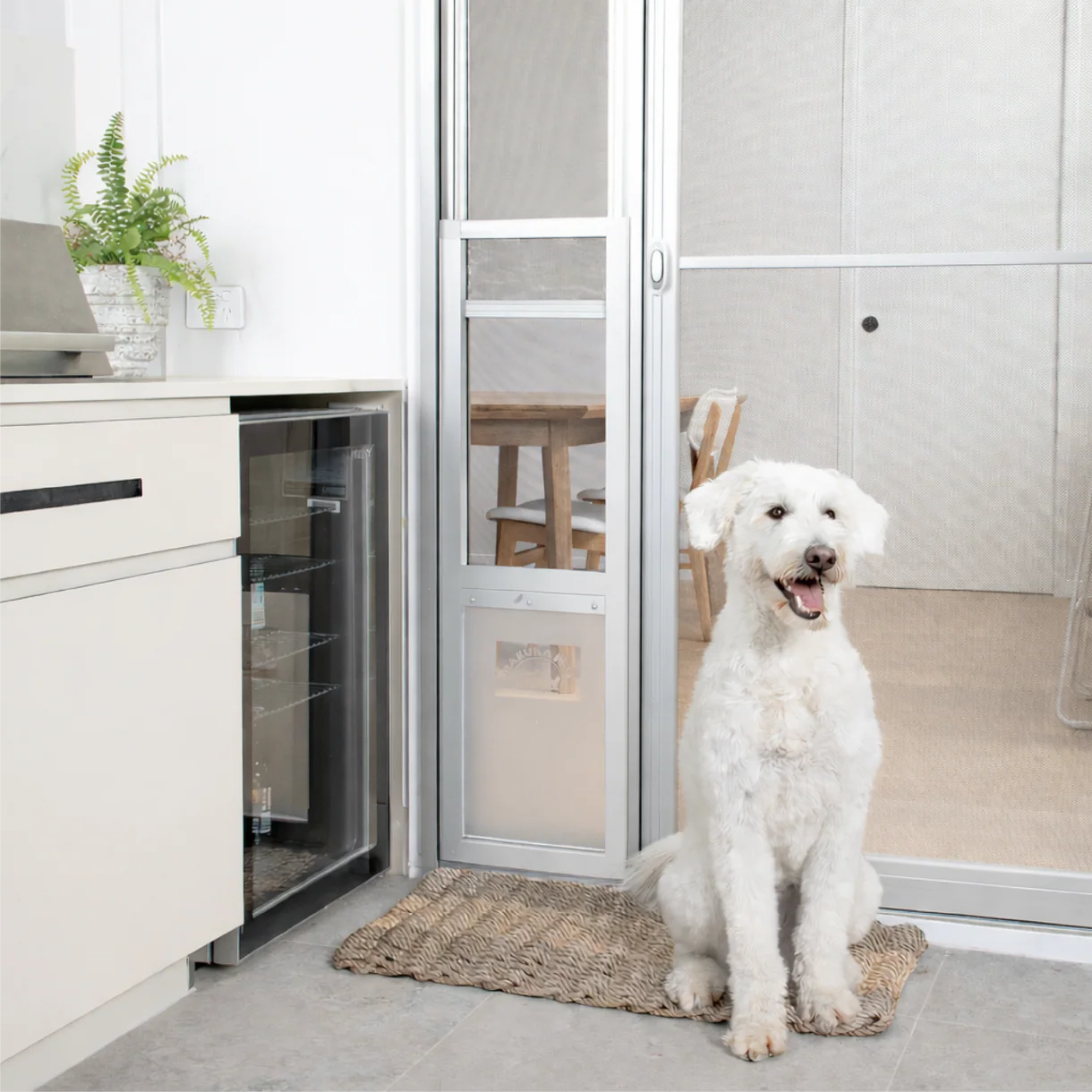 White dog sitting on a mat in front of a glass door with a pet door, inside a modern kitchen.