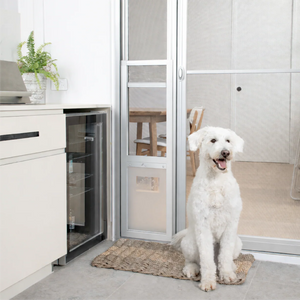 White dog sitting on a mat in front of a glass door with a pet door, inside a modern kitchen.
