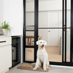 White dog sitting on a mat in front of a glass door with black frames.