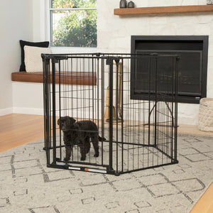 Dog standing inside a black metal pet gate in a living room.