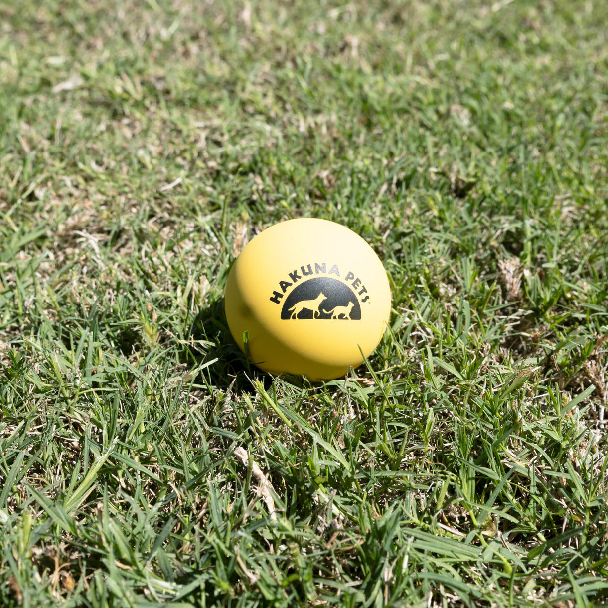 Yellow ball with 'Hakuna Pets' logo on grass