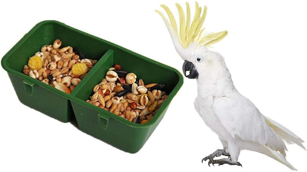 Green bird feeder with two compartments of seeds and a white parrot with a yellow crest on a white background at Pet Servo