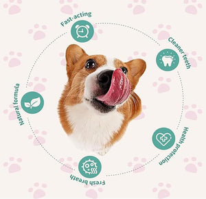Dog with a happy expression surrounded by health benefits icons on a light pink background at Pet Servo