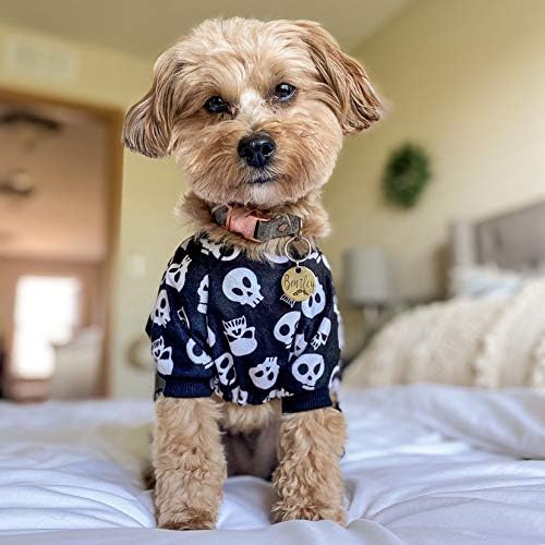 Small dog wearing a black sweater with white skull patterns on a bed at Pet Servo