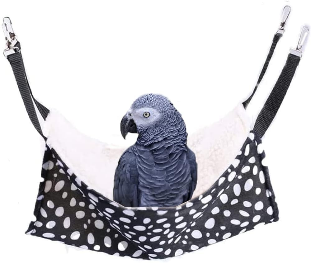 Gray parrot in a black and white polka dot bird hammock on a white background at Pet Servo